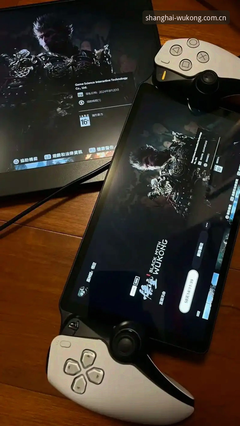 悟空体育平台手机端入门指南：新版用户必知的五项实用知识
